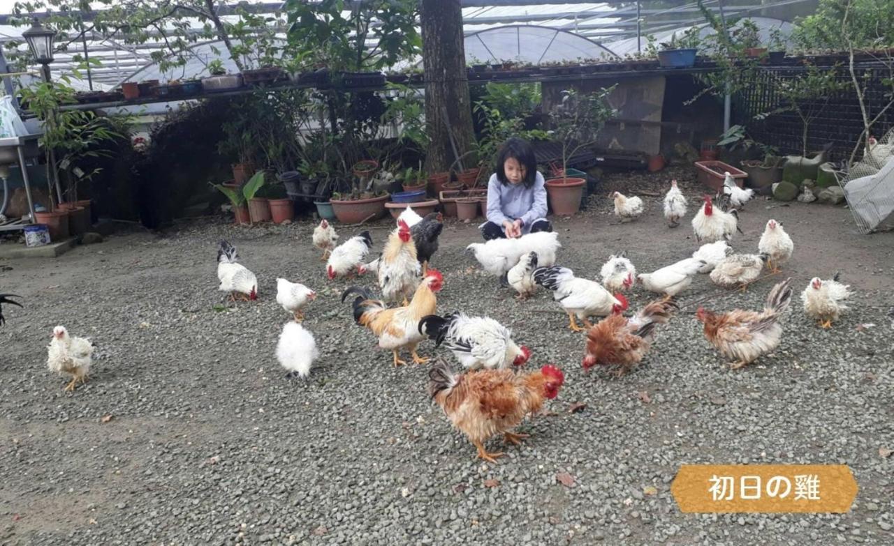 Fanlu Alishan Sunrise B&B المظهر الخارجي الصورة